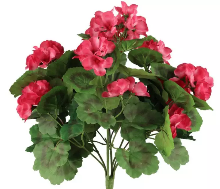 Pelargoni tumma pinkki 39 cm - Muuta kaunista - 6410416529882 - 2