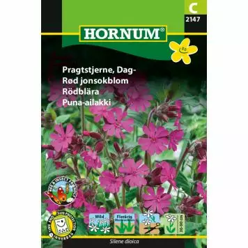 Puna-ailakki - Siemenet ja siemenperunat - 5708787021472 - 1