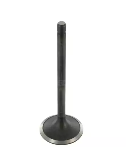 Imuventtiili STD, sopii Fiat, CASE, Ford - Moottori - 8716106091133 - 1