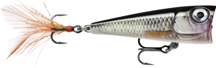 Rapala X-Light Pop 04 Live Roach - Vieheet ja perhot - 022677348773 - 1