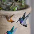 Wildlife Garden koristelintu Kolibri violetti 2 kpl/pkt - Luontoaiheiset tuotteet - 7350054765213 - 3
