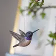 Wildlife Garden koristelintu Kolibri violetti 2 kpl/pkt - Luontoaiheiset tuotteet - 7350054765213 - 2
