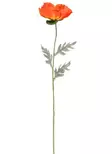 Jättiunikko 65 cm oranssi - Askartelutarvikkeet - 6410416440163 - 2