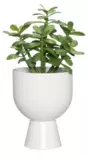 Ruukku Nala 16 cm mattavalkoinen - Ruukut, vaasit, korit - 6410416443843 - 2