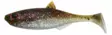 Patriot Baitfish jigi 6 cm - Vieheet ja perhot - 6417512539463 - 1