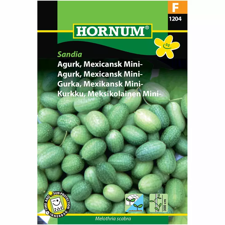 Kurkku meksikolainen mini-, ´Sandia´ - Siemenet ja siemenperunat - 5708787012043 - 1