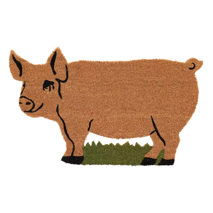 Kynnysmatto Sika 45 x 75 cm - Puutarhatekstiilit - 8714982214653 - 1