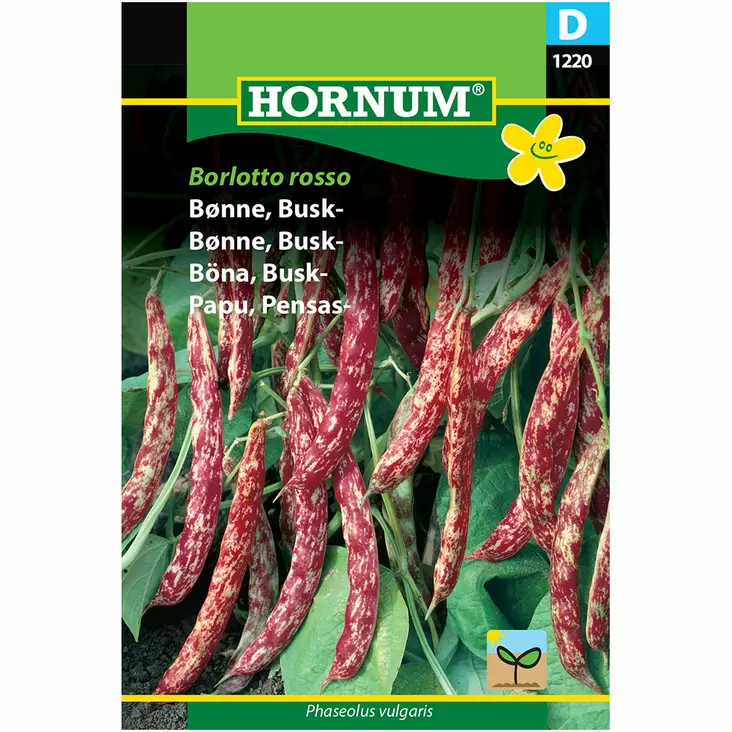 Pensaspapu ´Borlotto rosso´ - Siemenet ja siemenperunat - 5708787012203 - 1