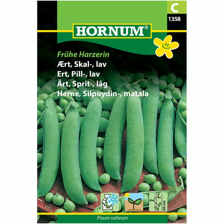 Silpoydinherne ´Frühe Harzerin´ - Siemenet ja siemenperunat - 5708787013583 - 1