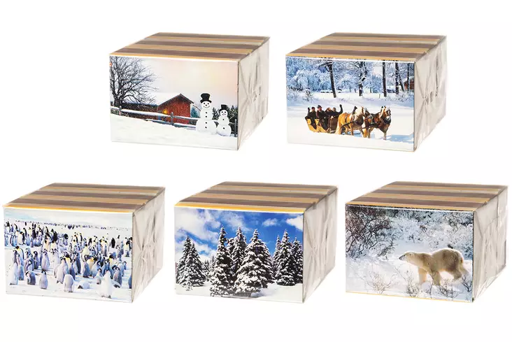 Tulitikkurasia talviaiheella 3 kpl/pkt - Keittimet ja tarvikkeet - 4004753906103 - 1