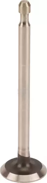 Pakoventtiili B&S 499642 - Paikallismoottoreiden varaosat - 024847896923 - 1