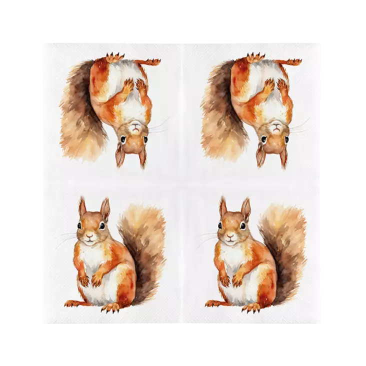 Orava servetit - Lintuaiheiset tuotteet - 8714982286483 - 1