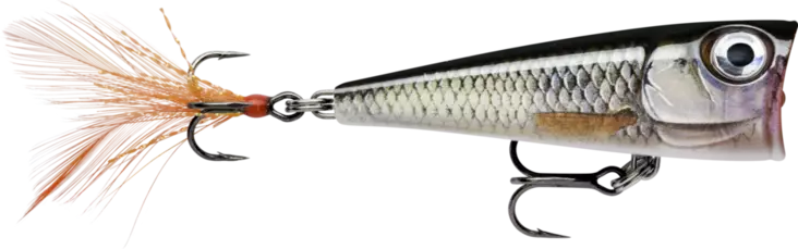 Rapala X-Light Pop 04 Live Roach - Vieheet ja perhot - 022677348773 - 1