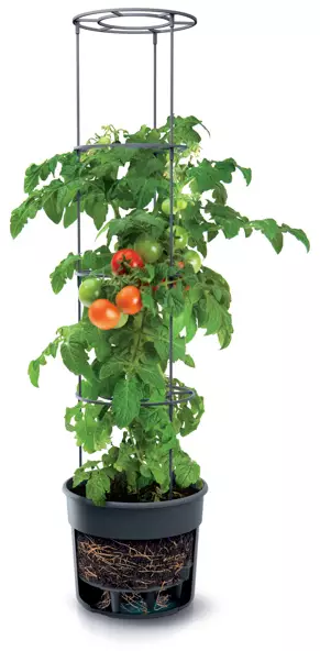 TomatoPot tomaatinviljelyruukku - Taimikasvatus - 5905197289113 - 1