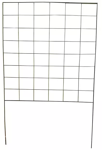 Lavakauluksen metallisäleikkö - Kasvien tuenta - 6430040628164 - 1