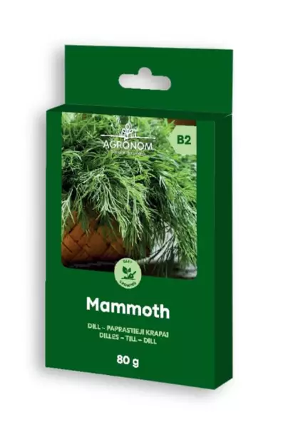 Tilli ´Mammoth´ 80g - Siemenet ja siemenperunat - 4770168920934 - 1