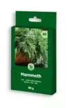 Tilli ´Mammoth´ 80g - Siemenet ja siemenperunat - 4770168920934 - 1