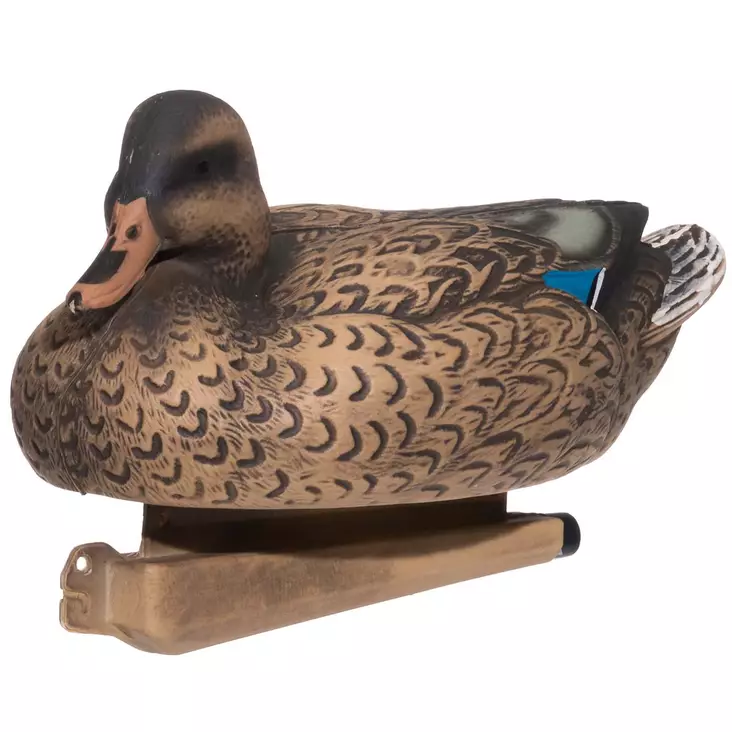 Heinäsorsa naaras kaave - Houkutuskuvat ja -pillit - 6410416305424 - 1