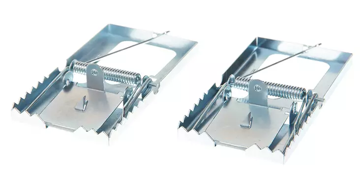 Hiirenloukku metalli 2 kpl/pkt - Jyrsijöiden torjunta - 6410410194734 - 1