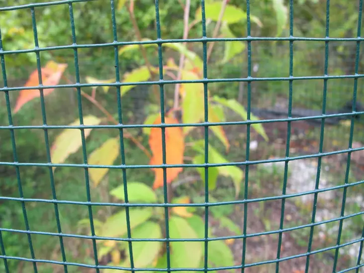 Katiskaverkko vihreä 1,2 x 25 m - Aitaverkot - 6430040622124 - 2