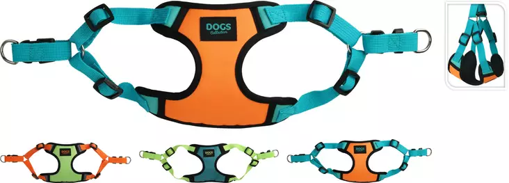 Koiran valjaat värikkäät - Taluttimet ja pannat - 8720573504034 - 1