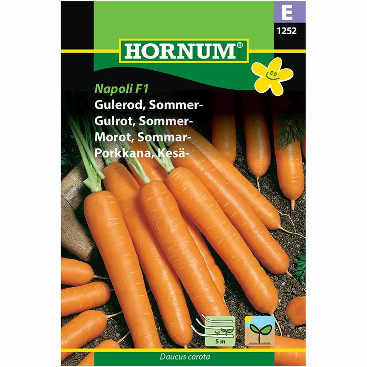 Porkkana kesä- ´Laguna F1´ siemennauha - Siemenet ja siemenperunat - 5708787012524 - 1