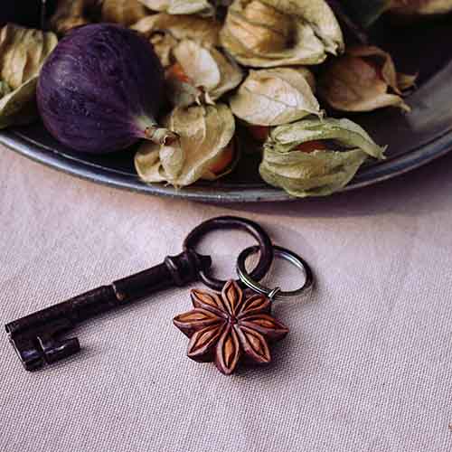 Wildlife Garden avaimenperä Tähtianis - Luontoaiheiset tuotteet - WG4704 - 1