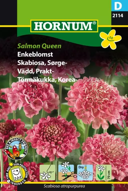 Koreatörmäkukka ´Salmon Queen´ - Siemenet ja siemenperunat - 5708787021144 - 1
