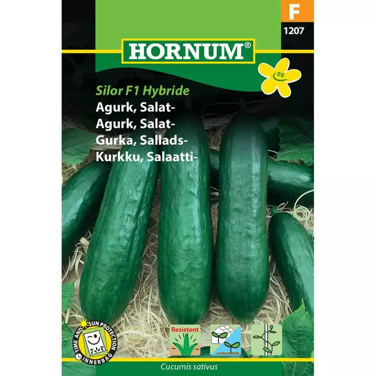 Salaattikurkku´Silor F1 Hybride´ - Siemenet ja siemenperunat - 5708787012074 - 1