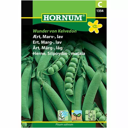 Silpoydinherne ´Kelvedon Wonder´ - Siemenet ja siemenperunat - 5708787013545 - 1