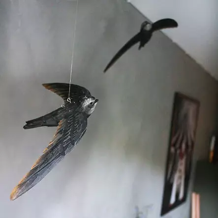 Wildlife Garden koristelintu Tervapääsky - Luontoaiheiset tuotteet - 7350054760645 - 1