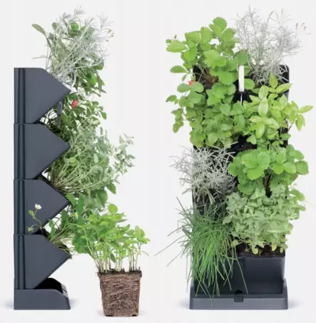 Istutuslokerikko seinälle/pöydälle - Taimikasvatus - 5905197289885 - 1