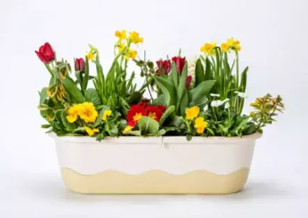 Mareta parvekelaatikko valkoinen - Ruukut, vaasit, korit - 8590415961475 - 1