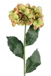Hortensia 60 cm vihreä - Askartelutarvikkeet - 6410416486925 - 1