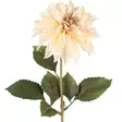 Daalia 74 cm kermanvärinen - Askartelutarvikkeet - 6410416567785 - 1