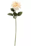 Daalia 74 cm kermanvärinen - Askartelutarvikkeet - 6410416567785 - 2