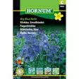 Kurjenkello ´Big Blue Bells´ - Siemenet ja siemenperunat - 5708787018335 - 1
