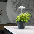 Umbrella kasvivalaisin led - Taimikasvatus - 8714982211485 - 3