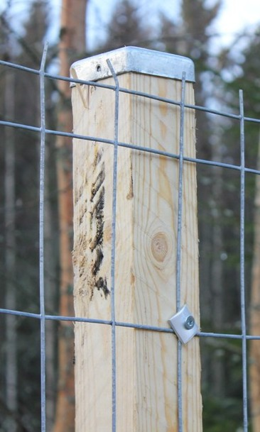 Aitatolpan hattu - Aitapaalut - 6430040626405 - 2