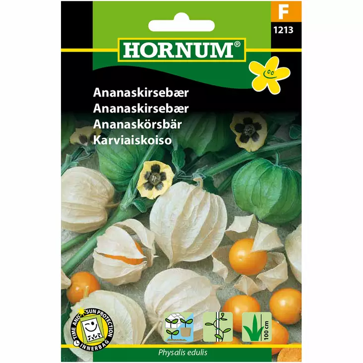 Ananaskirsikka, "karviaiskoiso" - Siemenet ja siemenperunat - 5708787012135 - 1