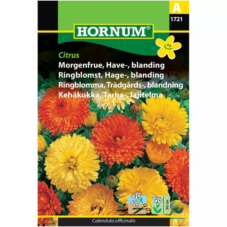 Kehäkukka ´Citrus´ - Siemenet ja siemenperunat - 5708787017215 - 1