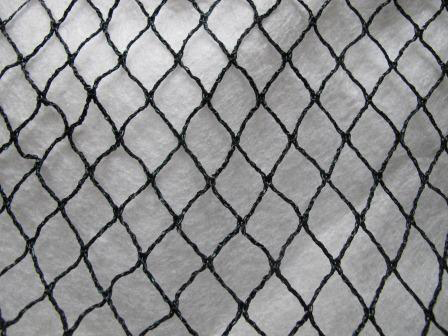 Lintuverkko Pro 10x12 m - Lintujen torjunta - 6430040629475 - 1