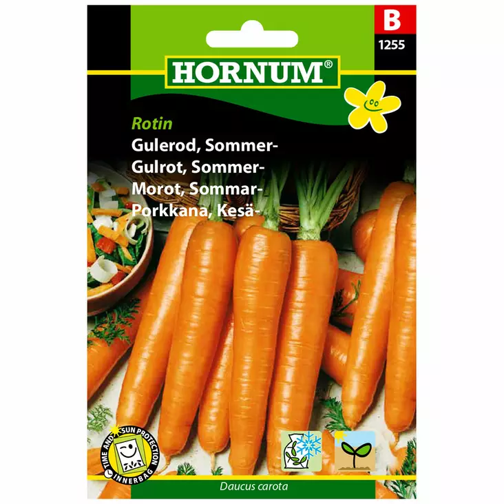 Porkkana kesä- ´Rotin´ - Siemenet ja siemenperunat - 5708787012555 - 1