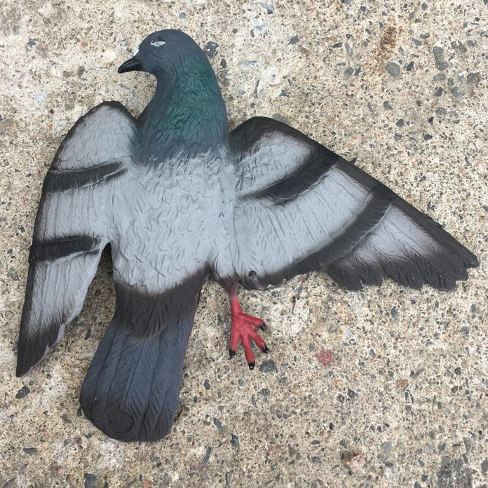 Pulu pelotinkuva - Lintujen torjunta - svm0000002255 - 1