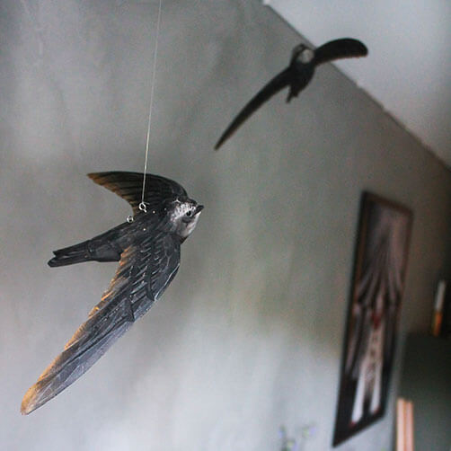 Wildlife Garden koristelintu Tervapääsky - Luontoaiheiset tuotteet - 7350054760645 - 1