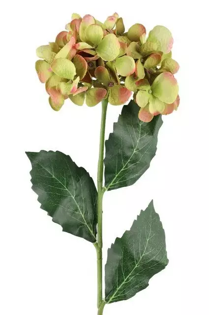 Hortensia 60 cm vihreä - Askartelutarvikkeet - 6410416486925 - 1