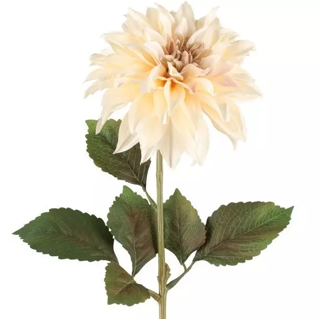 Daalia 74 cm kermanvärinen - Askartelutarvikkeet - 6410416567785 - 1