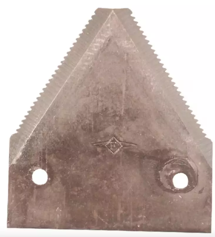 Terälappu NH (vanhempi) - Silppurit - 8719493513875 - 1