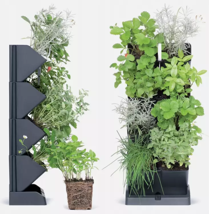 Istutuslokerikko seinälle/pöydälle - Taimikasvatus - 5905197289885 - 1