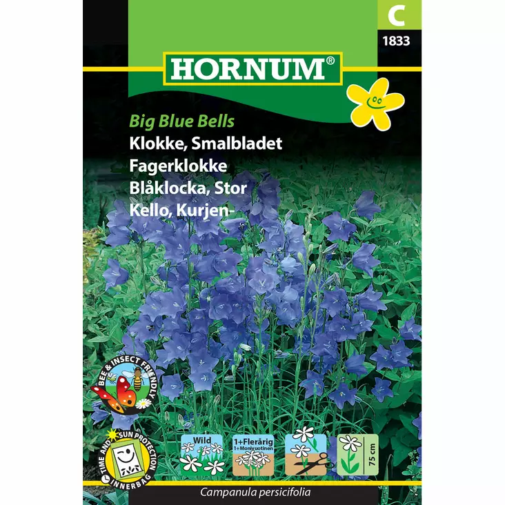 Kurjenkello ´Big Blue Bells´ - Siemenet ja siemenperunat - 5708787018335 - 1